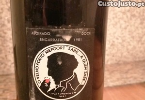 imagem_6