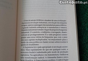 imagem_7