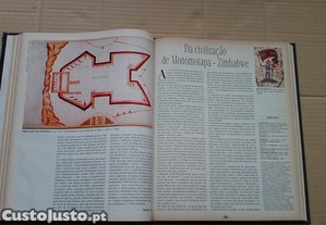 imagem_5