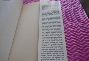 imagem_8