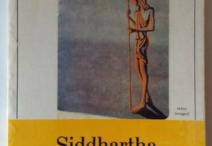 Livro: Siddhartha (Portes incluídos)