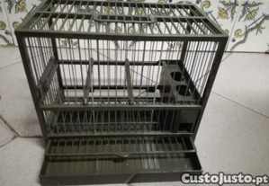 imagem_3