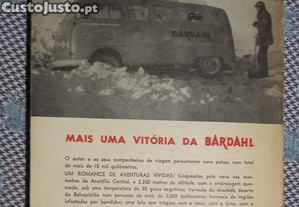 imagem_7