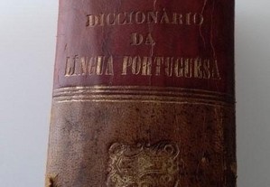 Novo Dicionário da Língua portuguesa, 1913