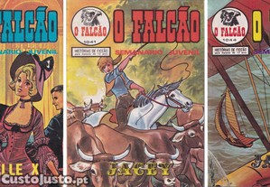 imagem_5