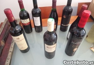 imagem_3