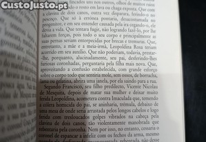 imagem_7