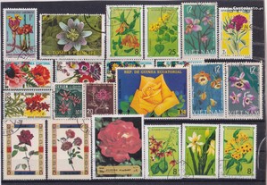 Selos (50) Flores