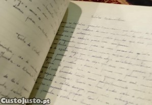 imagem_11