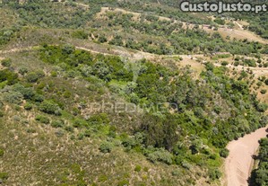 imagem_22