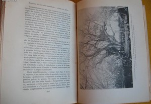 imagem_5