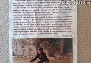 imagem_7