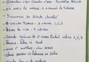 imagem_3
