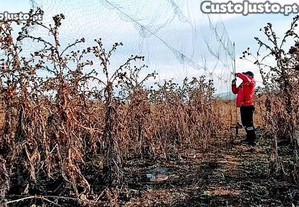Redes para Proteção de Cultivos Resistentes ( Fio Multifilamento ) Invisiveis