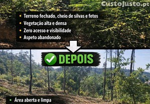 imagem_6