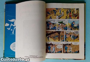 imagem_4