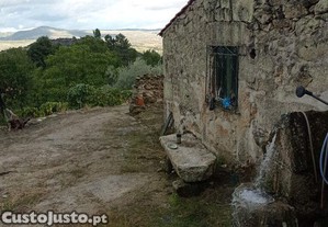 Terreno Agrícola em Sendim