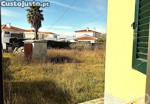 imagem_29