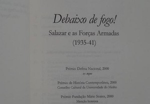 imagem_2