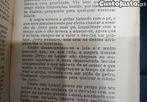 imagem_6