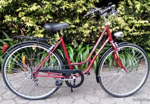 Bicicleta pasteleira e bicicleta Orbita Classic