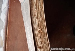 imagem_6