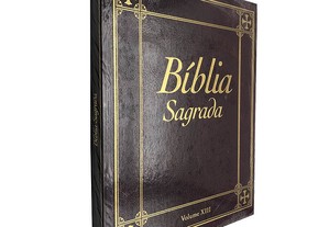 Bíblia sagrada (Volume XIII)