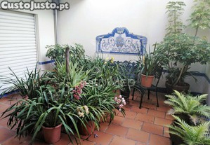 imagem_27