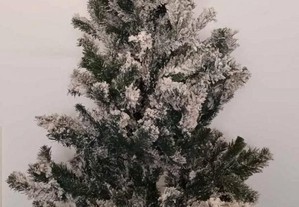 Árvore Natal Com Neve