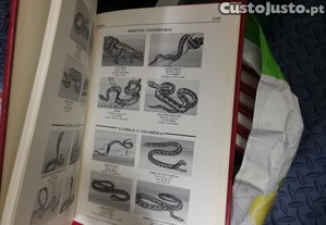 Dou livros enciclopdias