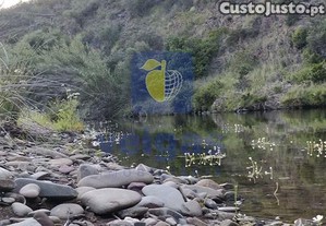imagem_25