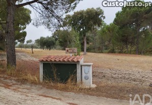Terreno Agrícola em Galveias