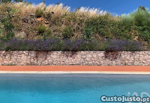 imagem_20