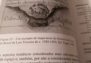 imagem_8