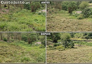 imagem_7