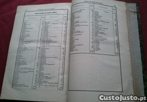 imagem_7