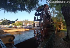 imagem_22