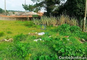 imagem_25