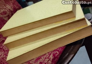 imagem_6