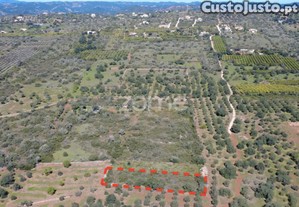 Terreno Rústico Com 1390 M² Na Zona De Lagoão