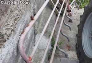 Jaula Maternidade porcos