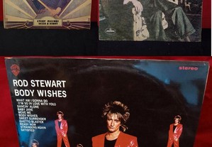 Rod Stewart 3 albuns 33 RT em vinil