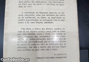 imagem_8