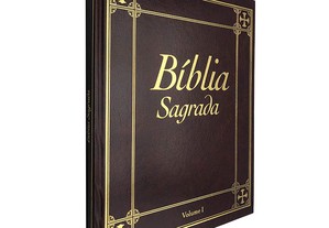 Bíblia sagrada (Volume I)