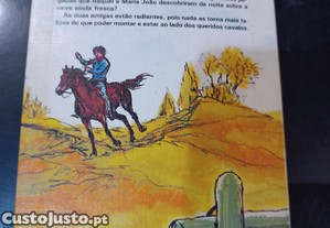 imagem_6