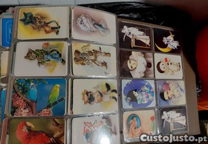 imagem_5
