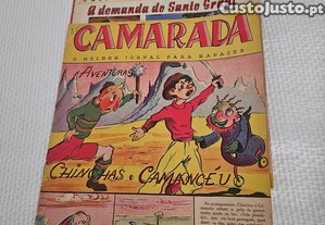 imagem_2