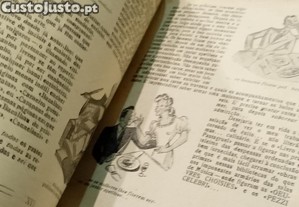 imagem_12