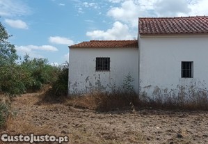 imagem_10