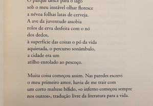 imagem_4